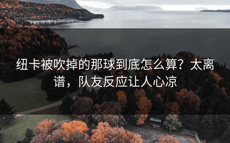 纽卡被吹掉的那球到底怎么算？太离谱，队友反应让人心凉